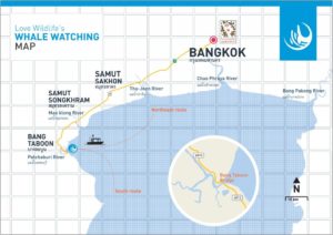 タイ湾岸のクジラウォッチングポイントの地図