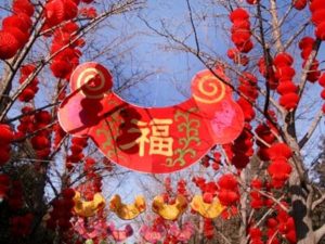 Chinese new year 2019